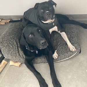 Fundraising Page: Angharad Waite